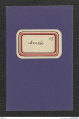 Seite 1, Tagebuch "Ameis" (NHMW-PRAE-BBB-69)